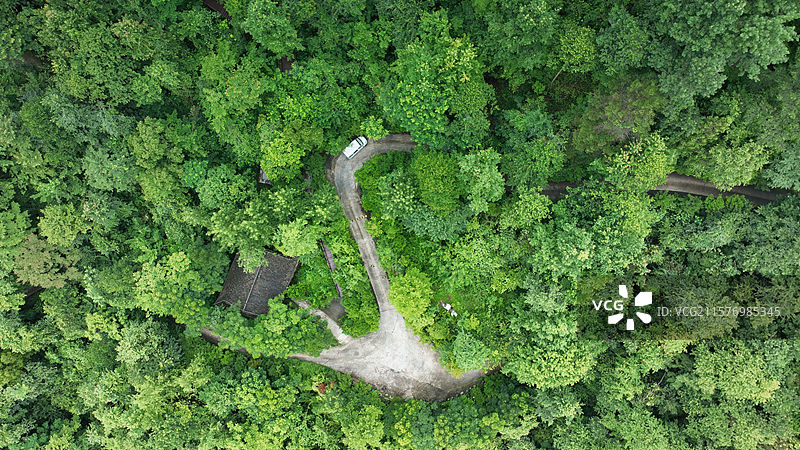 贵州铜仁 亚木沟景区 植被图片素材