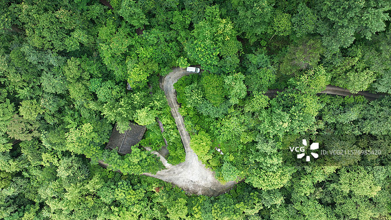 贵州铜仁 亚木沟景区 植被图片素材