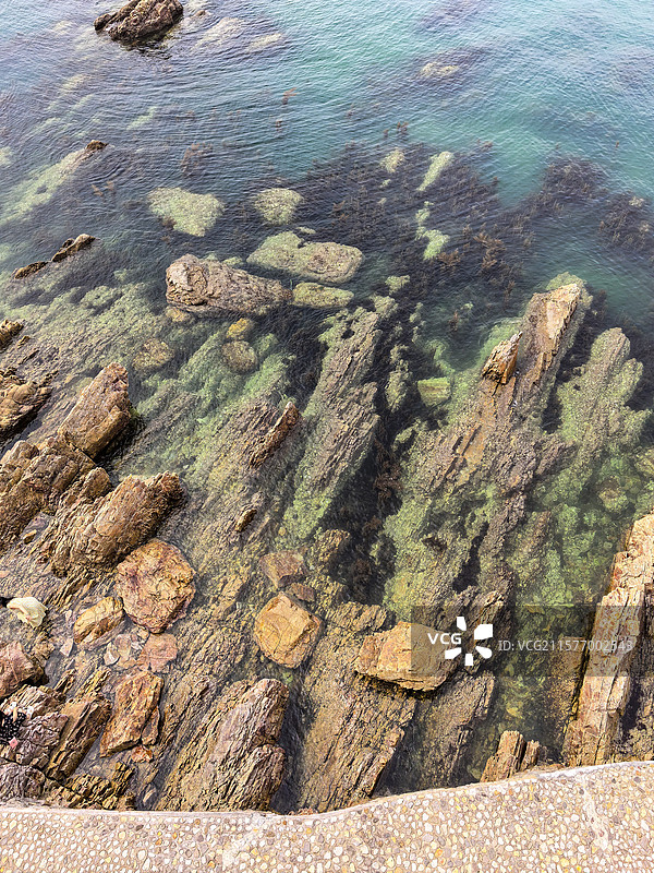 俯瞰长岛望夫礁风景区礁石全景图片素材