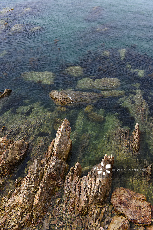俯瞰长岛望夫礁风景区礁石近景图片素材