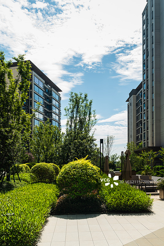 夏天的园林小区图片素材