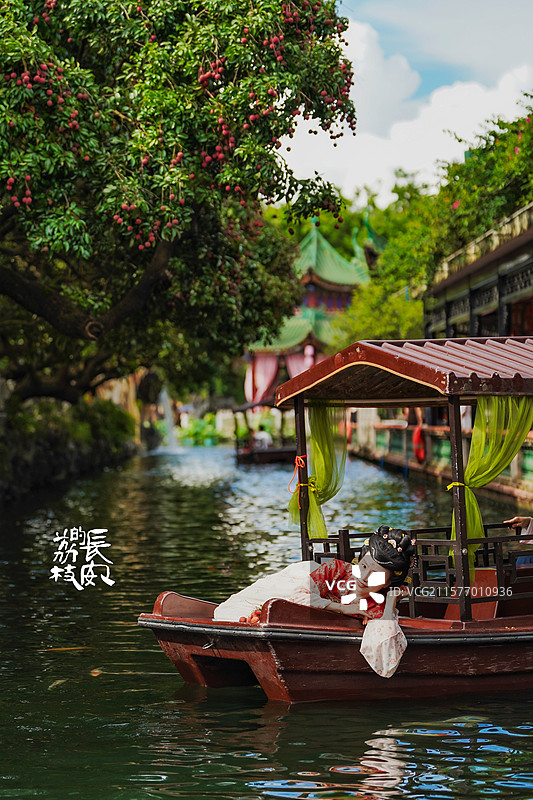 Lychee Season 长安的荔枝图片素材