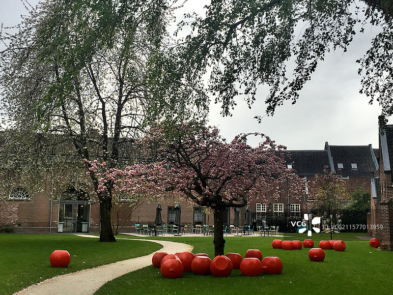 荷兰乌特勒支米菲博物馆内景花园樱花树图片素材