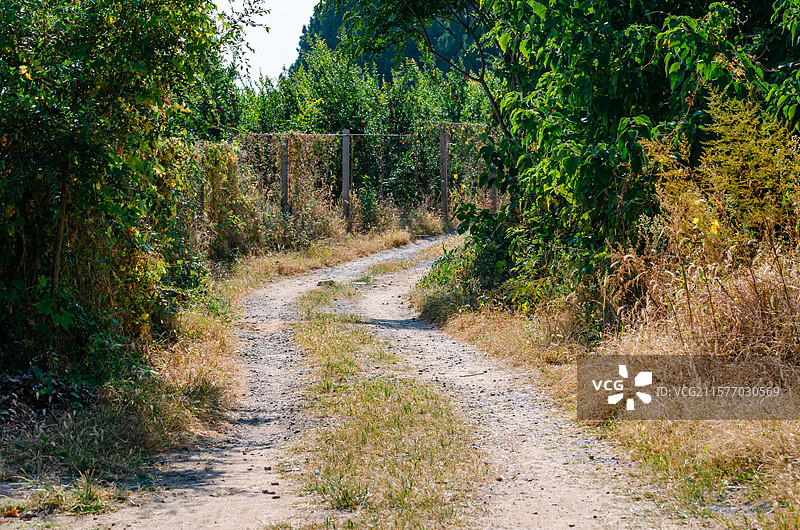 中国非都市风光拍摄主题，枯黄的野草，乡村道路黄色的土路主干道和车轮痕迹，户外白昼无人图像摄影图片素材