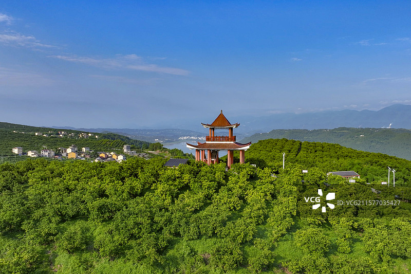 忠州三峡橘海风光图片素材
