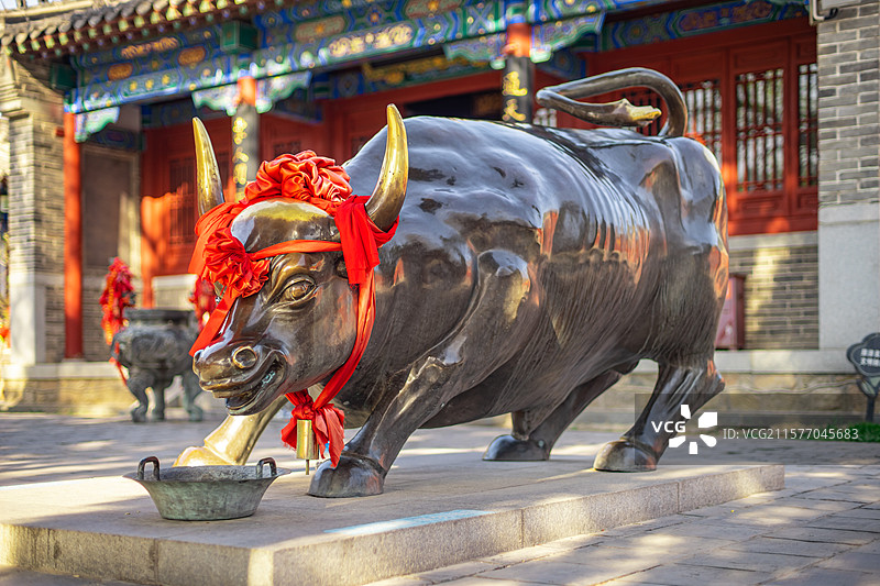 中国山东省泰安市泰山区泰山旅游景区著名景点，老君堂寺庙里，巨大的铜制金牛雕塑，户外白昼无人图像摄影图片素材