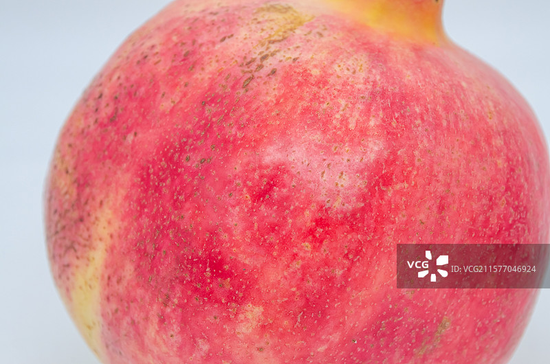 中国野生植物影棚拍摄拍摄主题，紫色的石榴籽，室内无人图像摄影图片素材