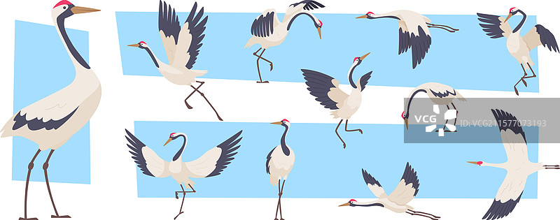 鹳飞翔的鹤鸟系列图片素材
