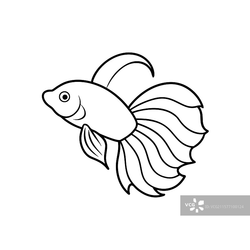 暹罗斗鱼线条艺术图片素材