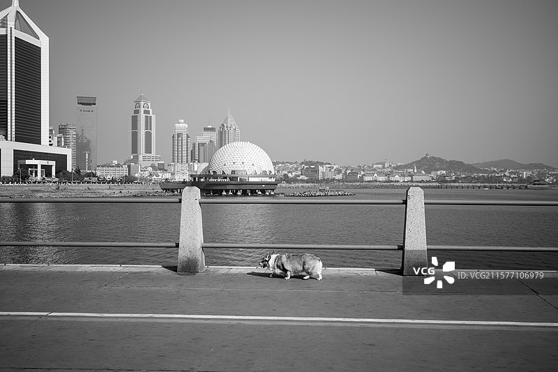 山东青岛八大峡广场游客图片素材