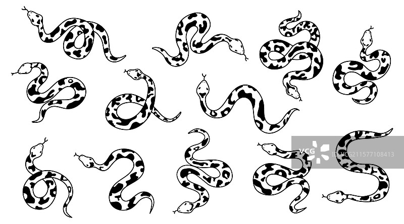 平面设计蛇轮廓集合图片素材