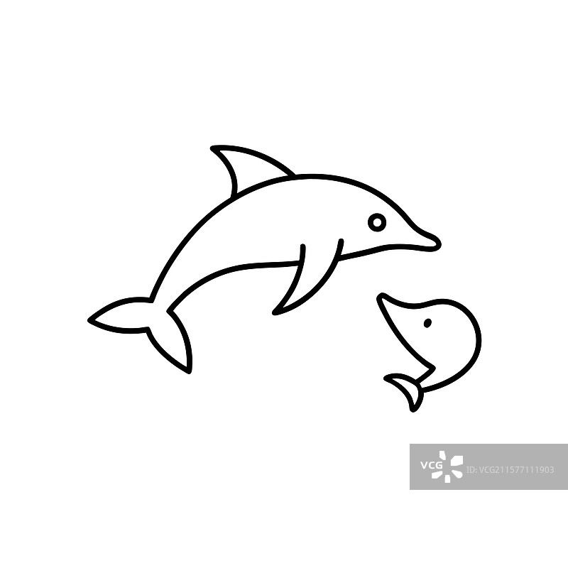 海豚线条艺术 海豚绘画 海豚鱼图片素材