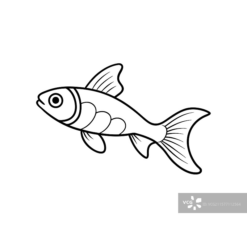 优雅的孔雀鱼线条艺术绘图和轮廓设计图片素材
