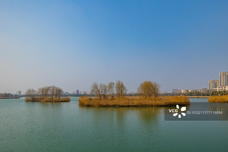 滨州蒲湖公园图片素材