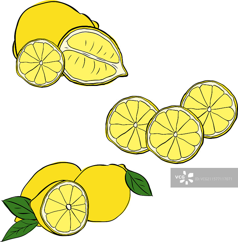 柠檬组合图形线条墨水插图孤立设计图片素材