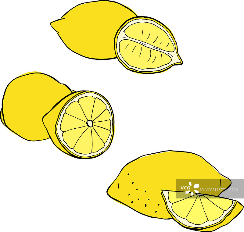 柠檬组成图形线条墨水集独立设计图片素材