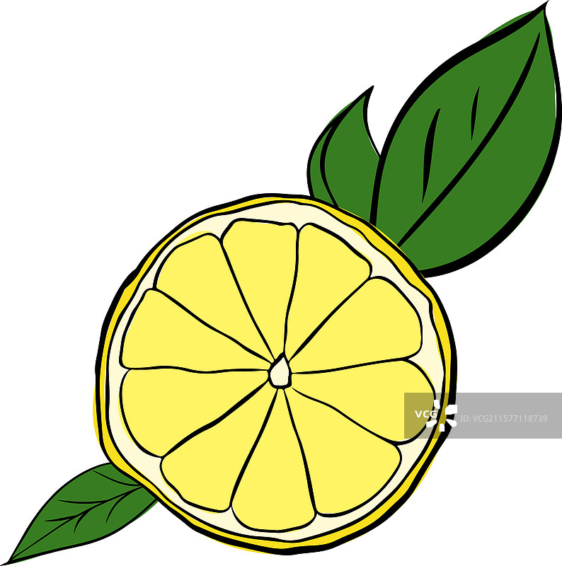 柠檬片与绿叶的组合图形图片素材
