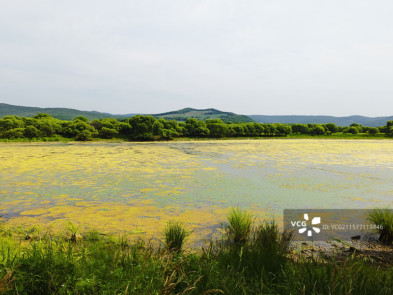 吉林省敦化市雁鸣湖湿地图片素材