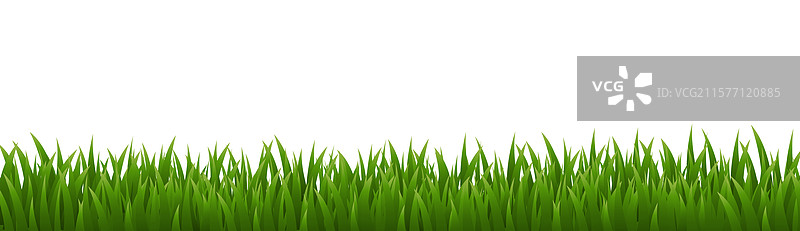 绿色草地全景与孤立的白色背景图片素材