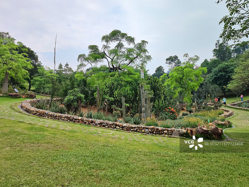 草地中的林场图片素材