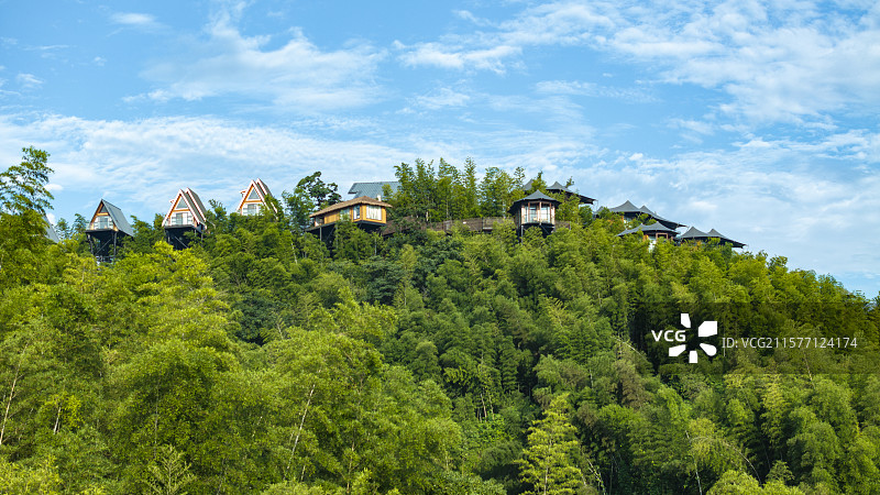 中国 湖南 桃花江竹海 竹林民宿（摄影 熊朝阳）图片素材