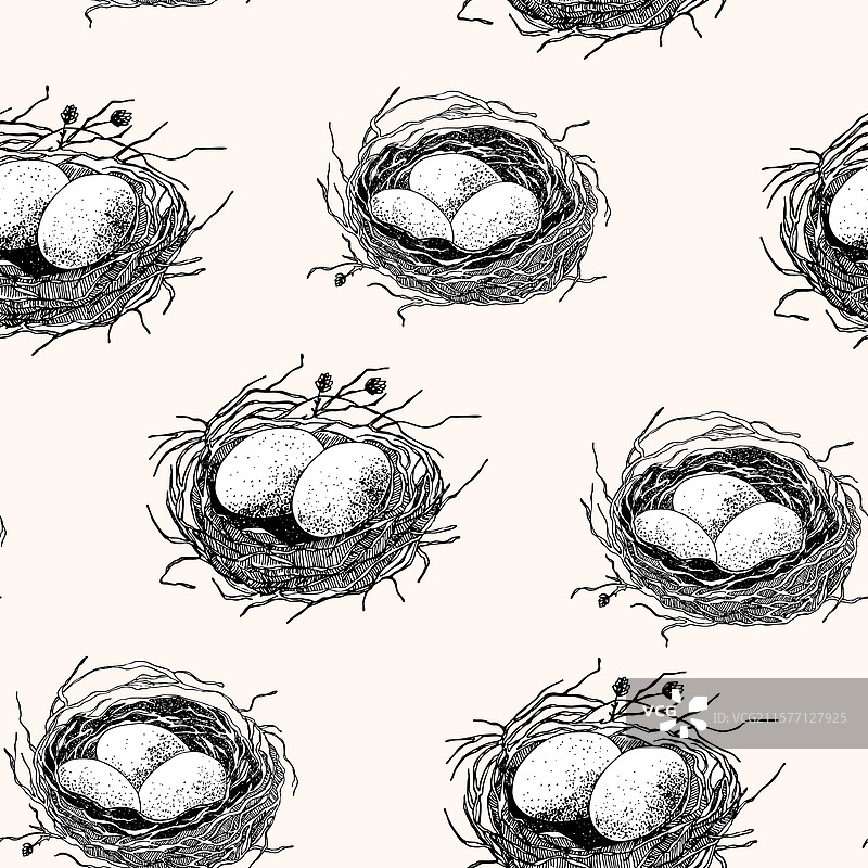 春季无缝图案，鸟巢里有蛋图片素材