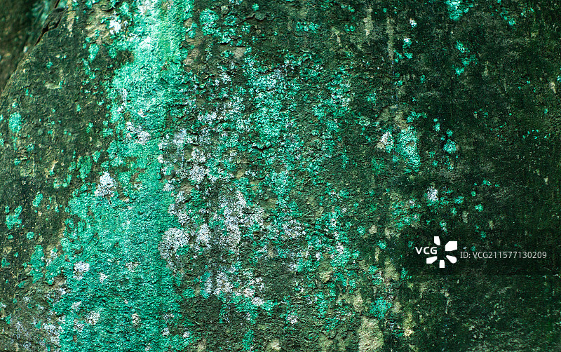 苍岩藓锈图片素材