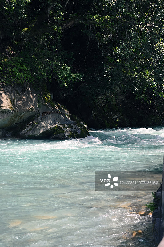 雅安喇叭河景区图片素材