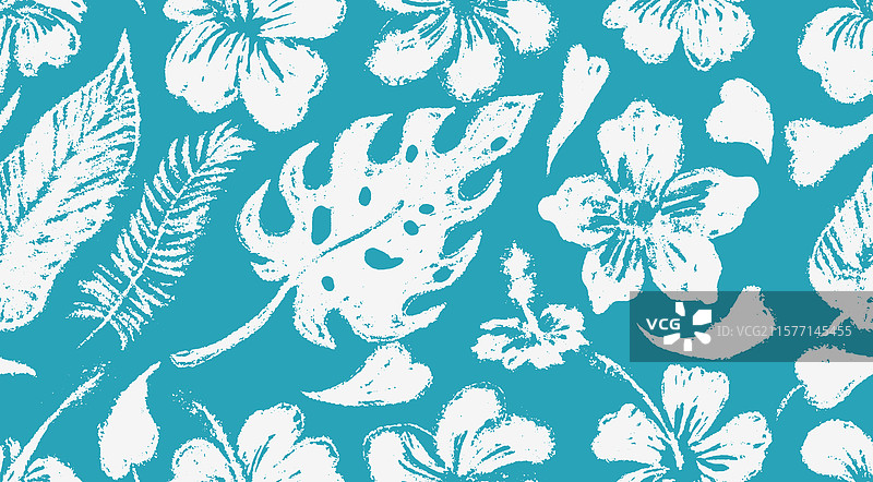 夏威夷风格的芙蓉花笔触画图片素材