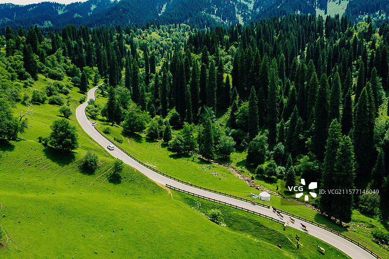 航拍伊犁 那拉提 滑草 导游证 旅游 休闲 旅行 草原 生态 环境 蓝天白云 消费 亲子游 暑假图片素材