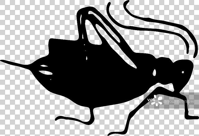 简笔画 昆虫 虫子图片素材