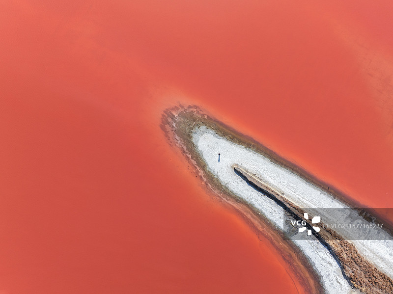 运城玫瑰湖图片素材