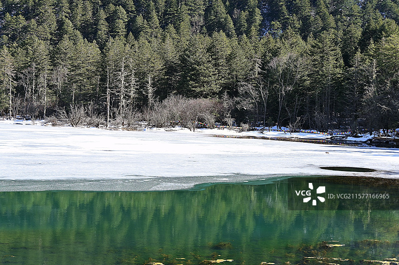 康定情歌景区林中树木映衬下的湖景图片素材