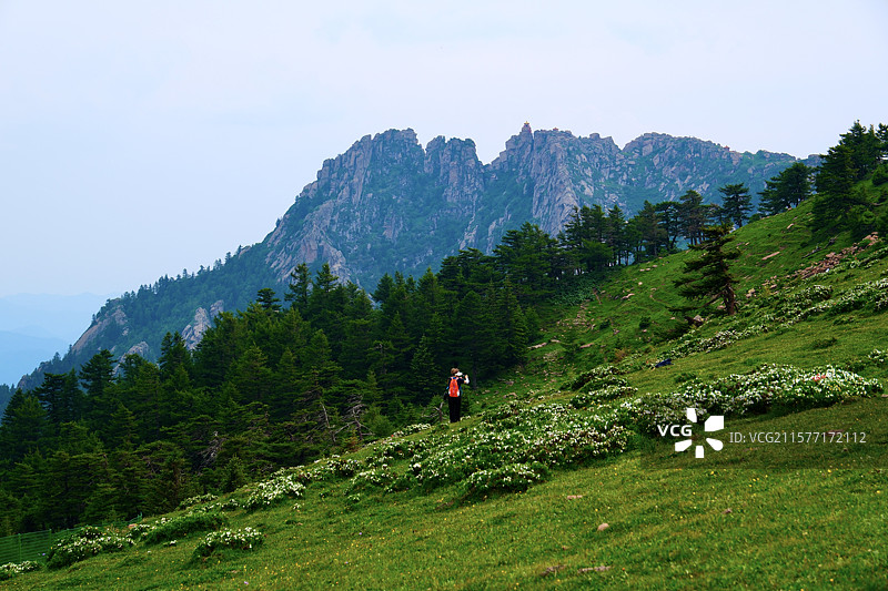山西忻州芦芽雄峰马仑草原风光图片素材