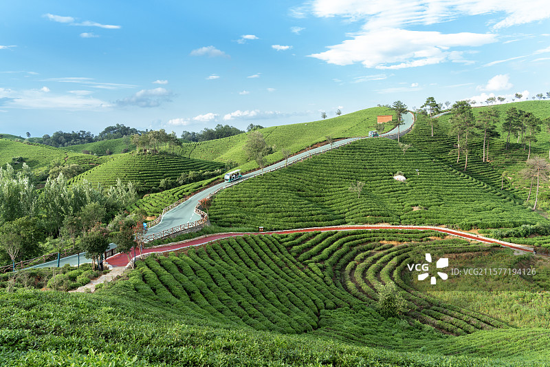中国河南信阳浉河港“信阳毛尖”主产区茶山自然风光图片素材