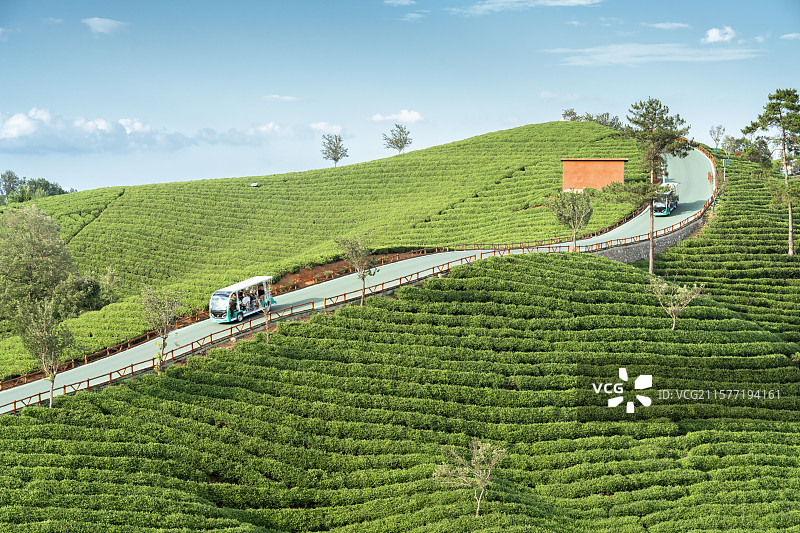 中国河南信阳浉河港“信阳毛尖”主产区茶山自然风光图片素材