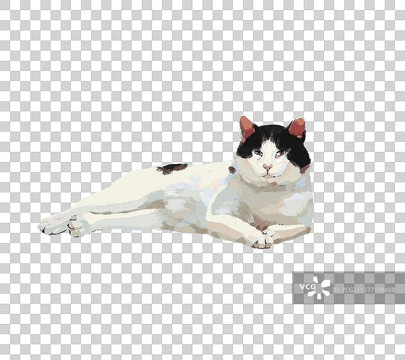 宠物猫插画免抠元素图片素材