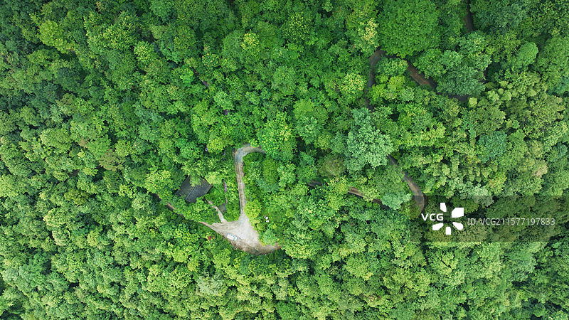 贵州铜仁 亚木沟景区 植被图片素材