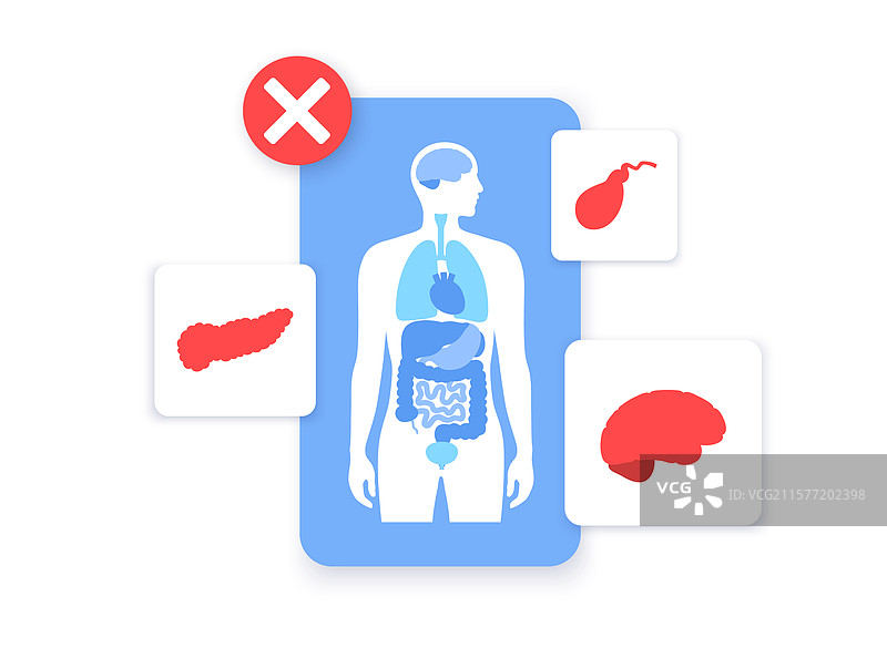 人体内部器官图片素材