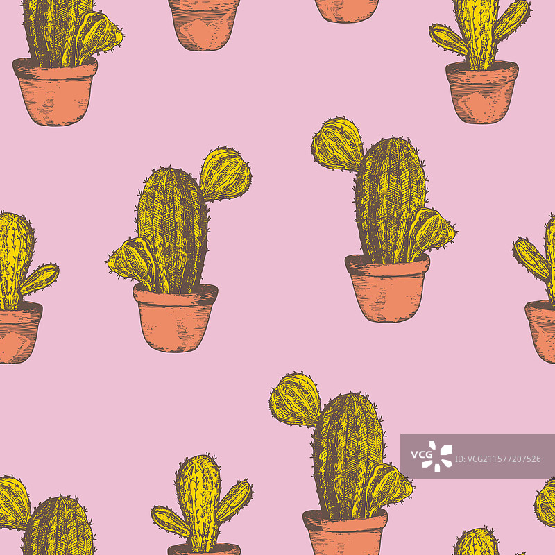 无缝图案，盛开的多肉植物仙人掌图片素材