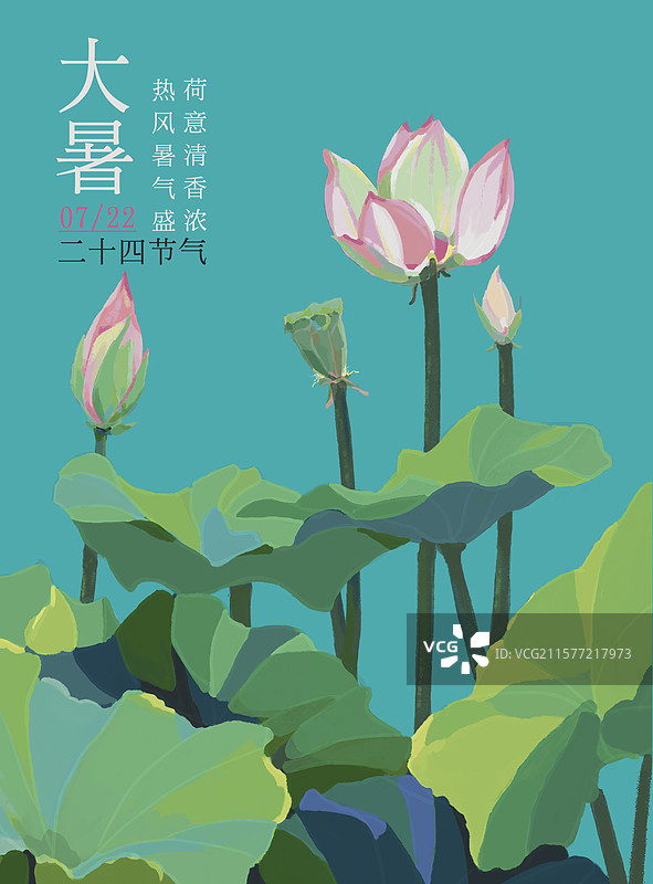 夏天的荷花大暑节气海报模版图片素材
