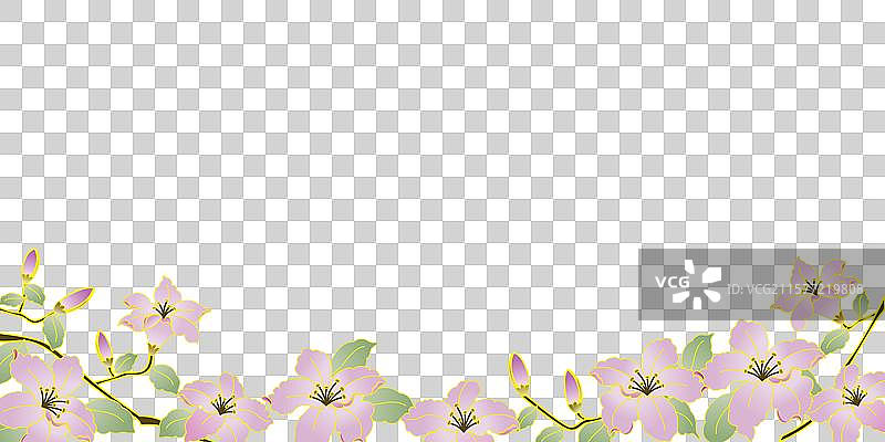 中国风国潮紫荆花插画免抠元素图片素材