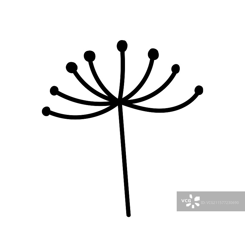 风格化的黑色线条花朵轮廓图图片素材