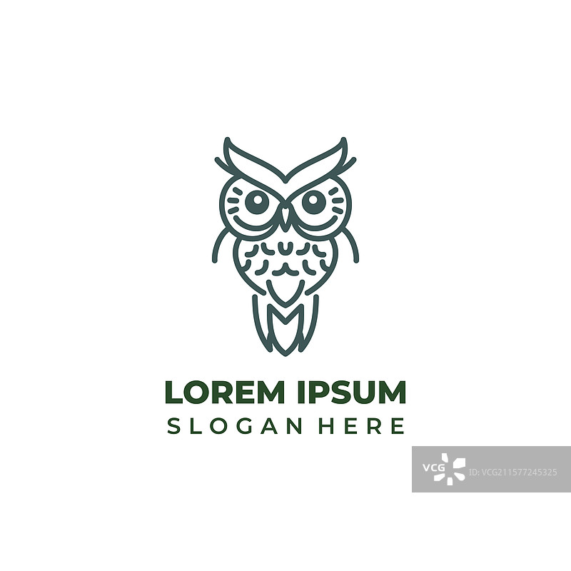 智慧在寂静的午夜猫头鹰中翱翔图片素材