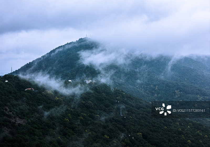 南京紫金山头陀岭云海图片素材