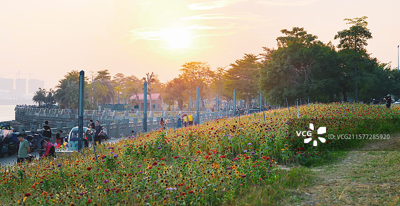 泉州滨海公园图片素材