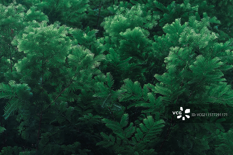 南京1865产业园区老厂房街景多角度组图素材图片素材