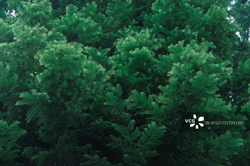 南京1865产业园区老厂房街景多角度组图素材图片素材