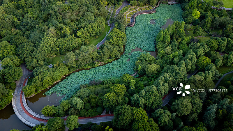 重庆龙头寺公园夏季航拍图片素材