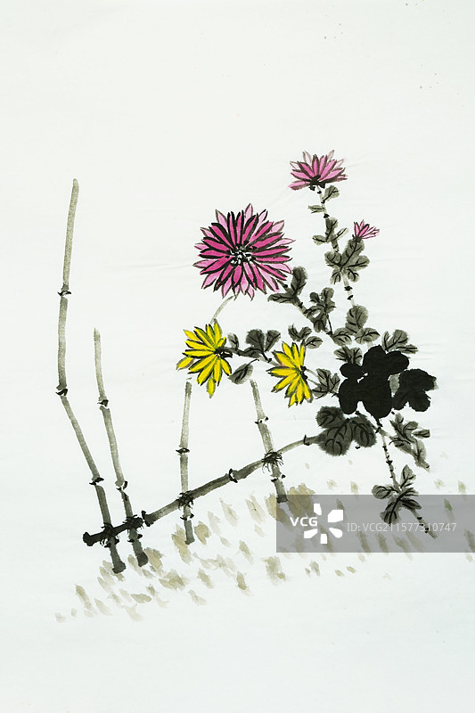 手绘 国画 菊花 篱笆 陶渊明 诗意 采菊东篱下图片素材